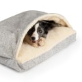 Honest Reviews and Testimonials for Dog Blankets: What Pet Owners Need to Know