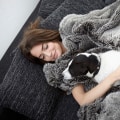 Signs of a High-Quality and Durable Dog Blanket